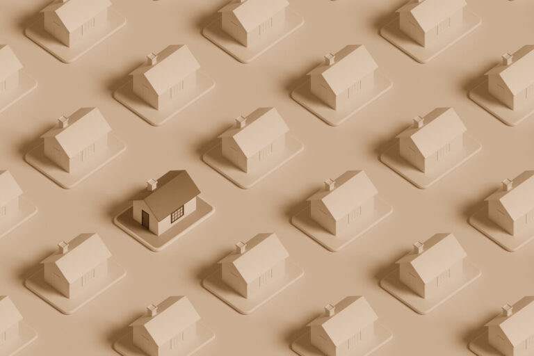 The Meadows of Mint Hill neighborhood